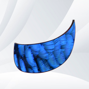 Wing Series