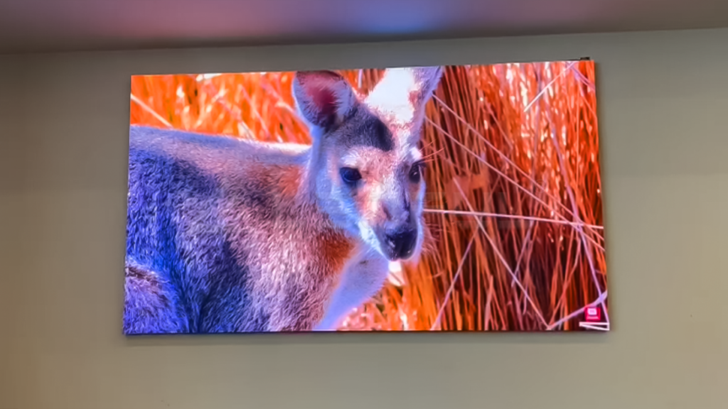 Indoor Fine Pitch U Series LED Screen In Qatar-3