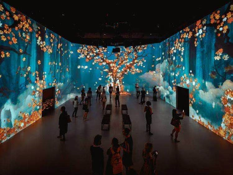 Immersive LED Display